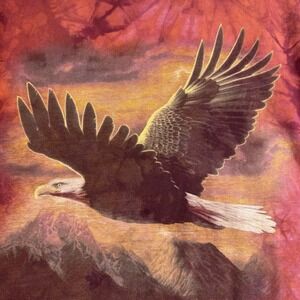 Vintage 2004 The Mountain Bald Eagle Shirt XL Red Tie Dye 2000s Animal Nature*
